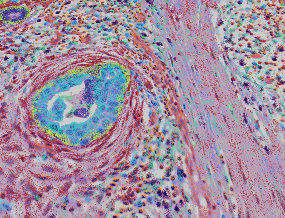 Dynamic Multi-layer Exploration